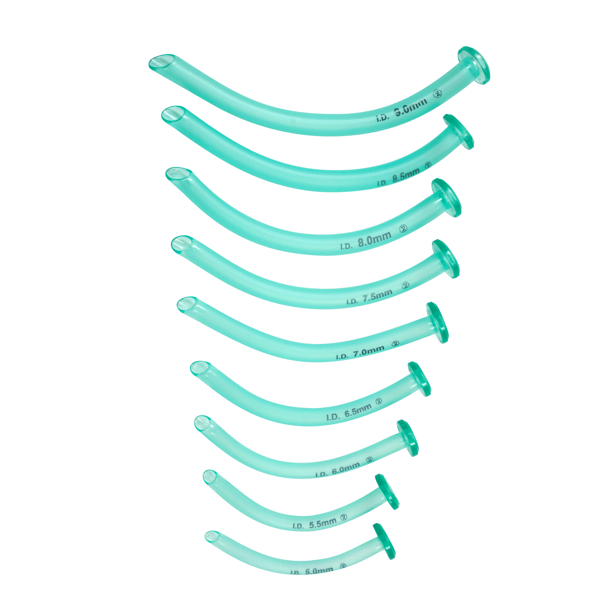 Nasopharyngeal Airways & Kits